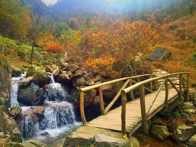 消逝的光芒